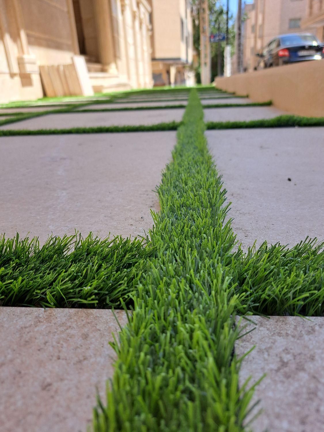 چمن مصنوعی نواری ۵ سانتی|مصالح و تجهیزات ساختمان|تبریز, |دیوار