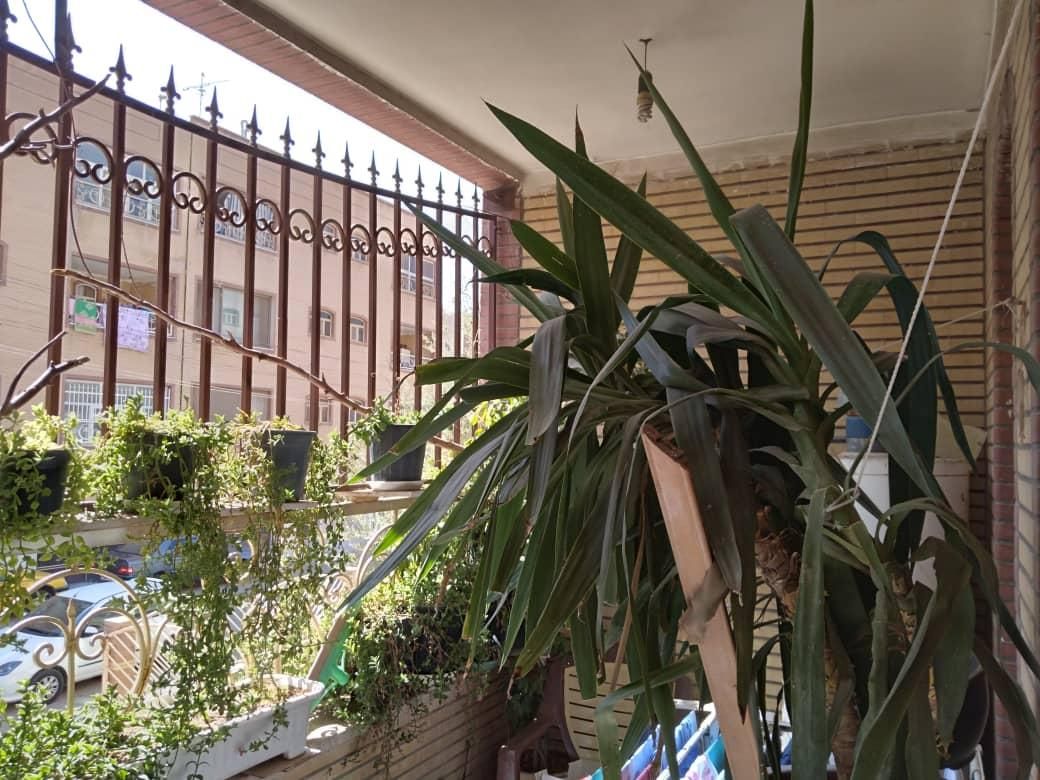 ۱۱۰ متر۲ خواب ط اول/ مجتمع پزشکی صبا/ انسجام بنیاد|اجارهٔ آپارتمان|قم, انسجام|دیوار