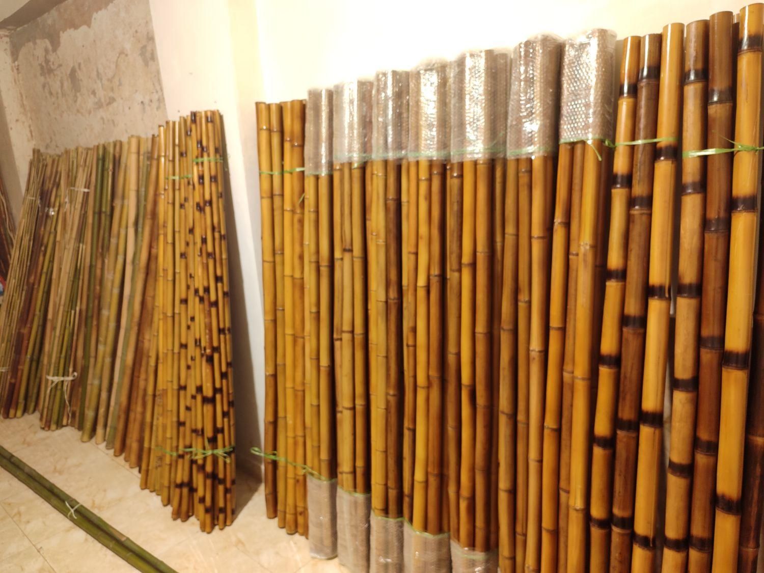 نی بامبو اصل&چوب بامبو|گل مصنوعی|تهران, هفده شهریور|دیوار