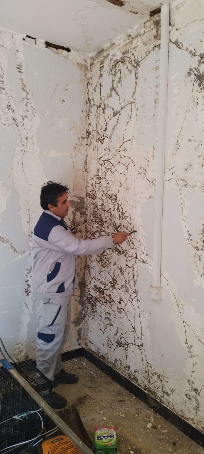 سمپاشی و موریانه زدایی تضمینی امیدیه|خدمات نظافت|امیدیه, |دیوار