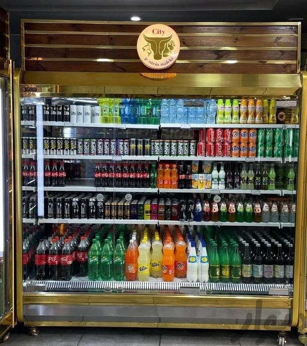 یخچال پرده هوا (روباز)|فروشگاه و مغازه|تهران, ولنجک|دیوار
