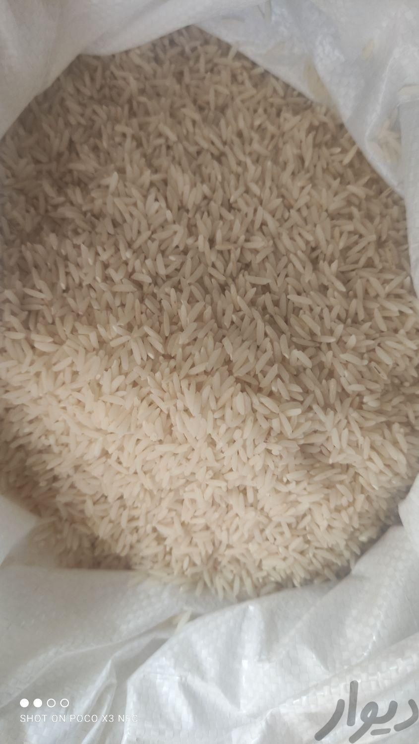 فروش برنج شمال|خوردنی و آشامیدنی|تهران, جوانمرد قصاب|دیوار