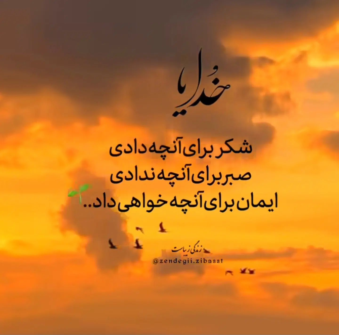 800 متر مشارکت مجیدیه شمالی|مشارکت در ساخت املاک|تهران, بنی‌هاشم|دیوار