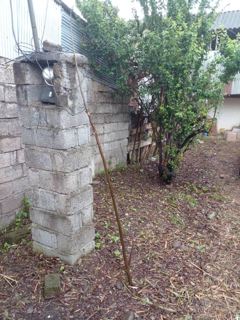 زمین تجاری اداری ۱۳۰۰ متر سنگر بعداز دانشگاه ۳۶۶۷|فروش زمین و ملک کلنگی|سنگر, |دیوار