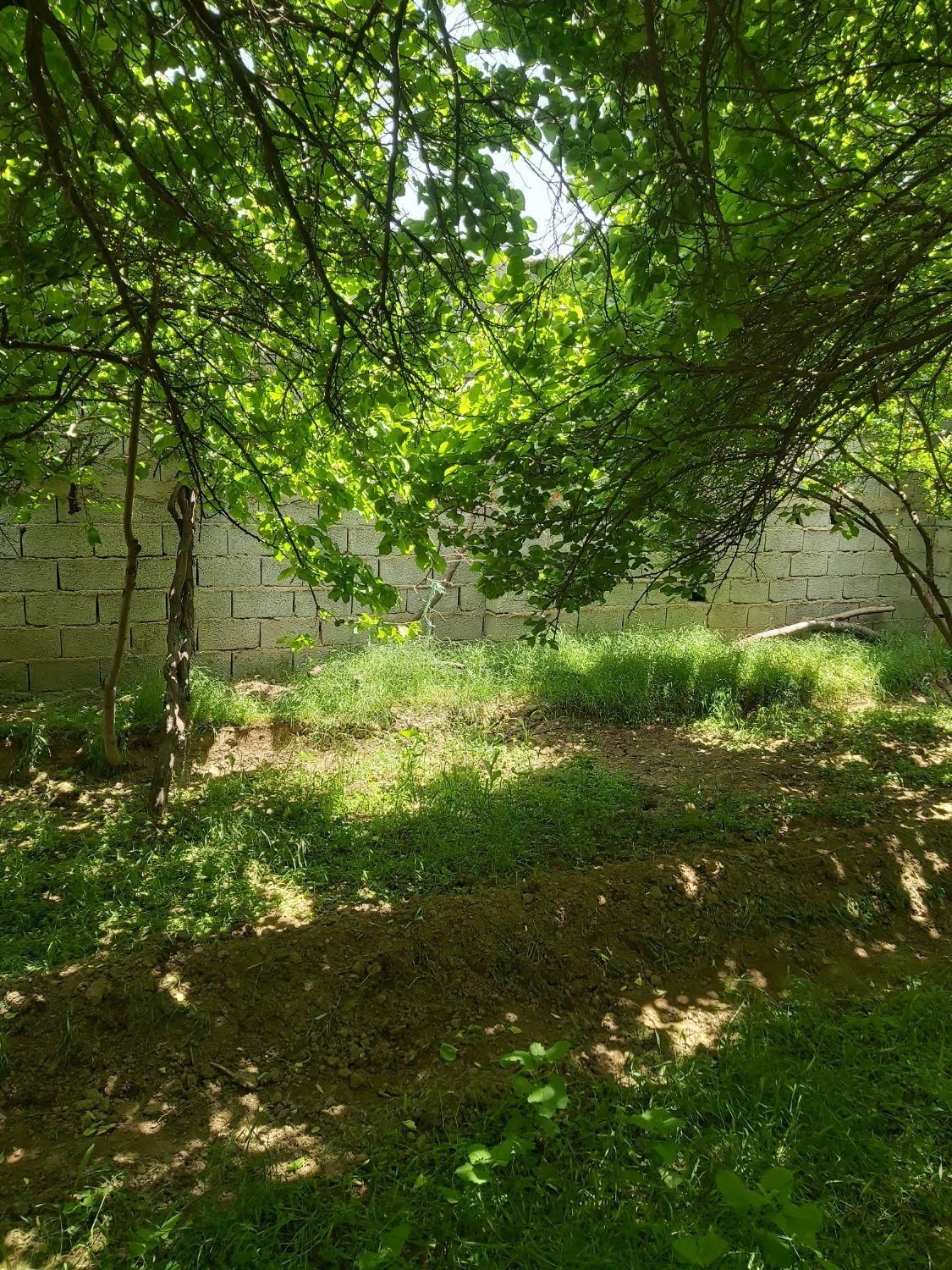 زمین/باغ ۳۱۰ متری سند دار در مهرشهر خیابان چمن|فروش زمین و ملک کلنگی|کرج, چمن|دیوار