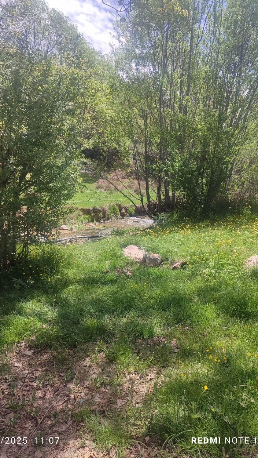 باغ تفریحی آوینا  واقع در روستای زیبای دلخان|اجارهٔ کوتاه‌مدت ویلا و باغ|شیراز, گویم|دیوار