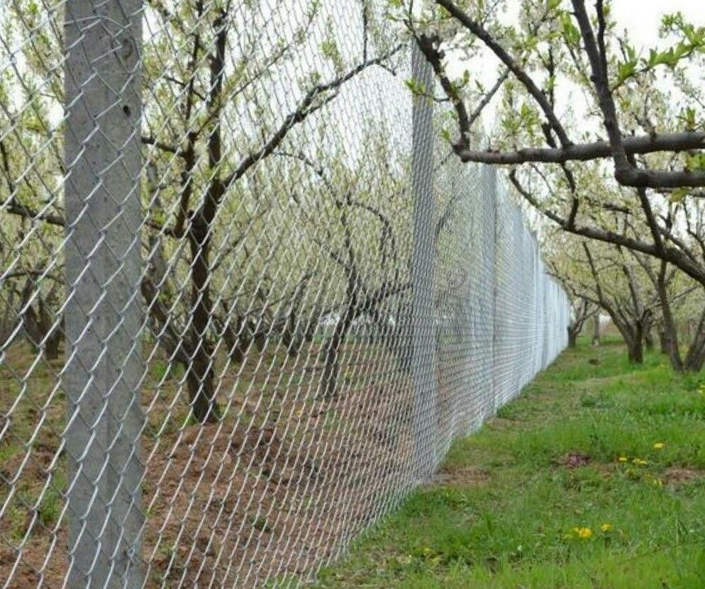 پایه بتنی پایه فنس بتنی تیرچه سیمانی داربست انگور|عمده‌فروشی|تهران, ایران|دیوار