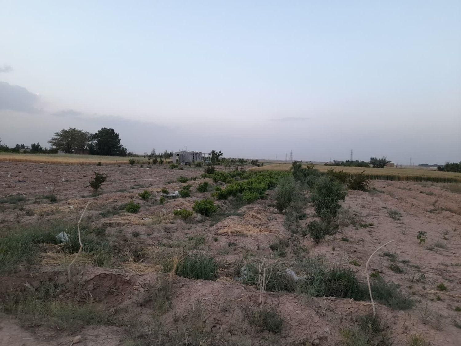 فروش زمین ۵۰۰ متری در فلکه دانشگاه|فروش زمین و ملک کلنگی|اصفهان, امین‌آباد|دیوار
