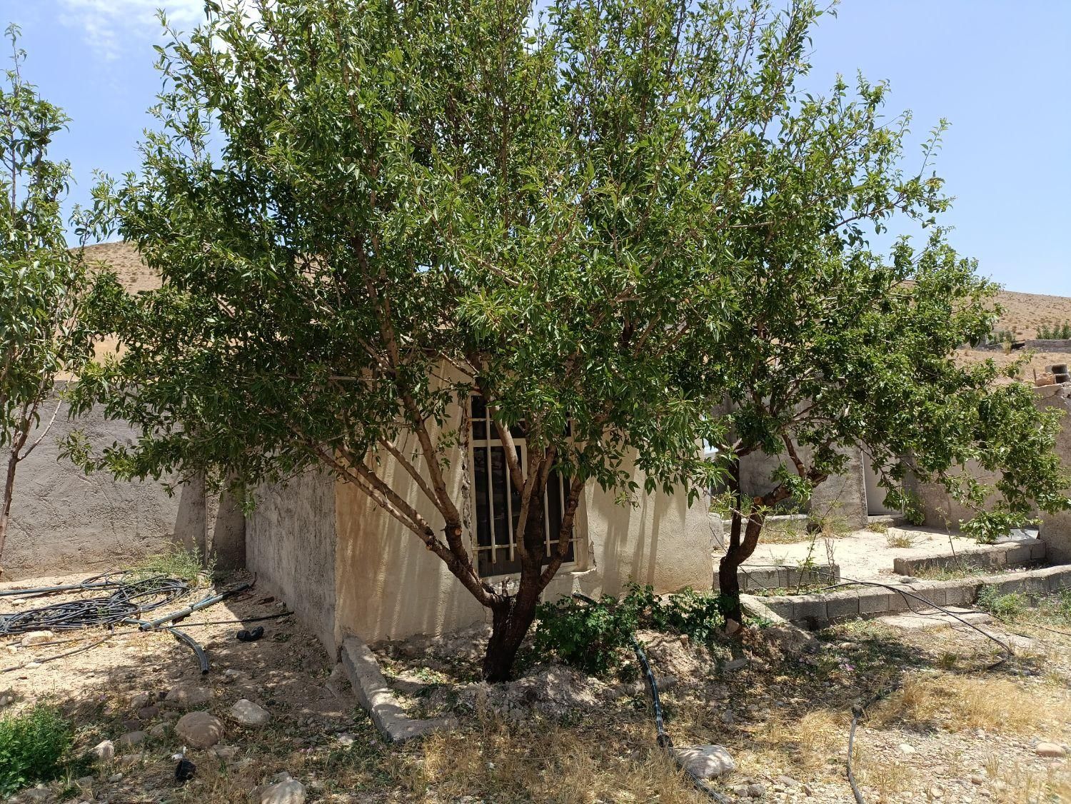 ۴۰۰متر زمین چهاردیواری  با درخت|فروش زمین و ملک کلنگی|تهران, حکیمیه|دیوار
