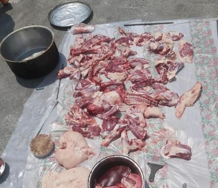 گوسفند زنده روستایی بره صحرا چریده شیشک و قوچ محلی|حیوانات مزرعه|قم, بلوار امین و ساحلی|دیوار