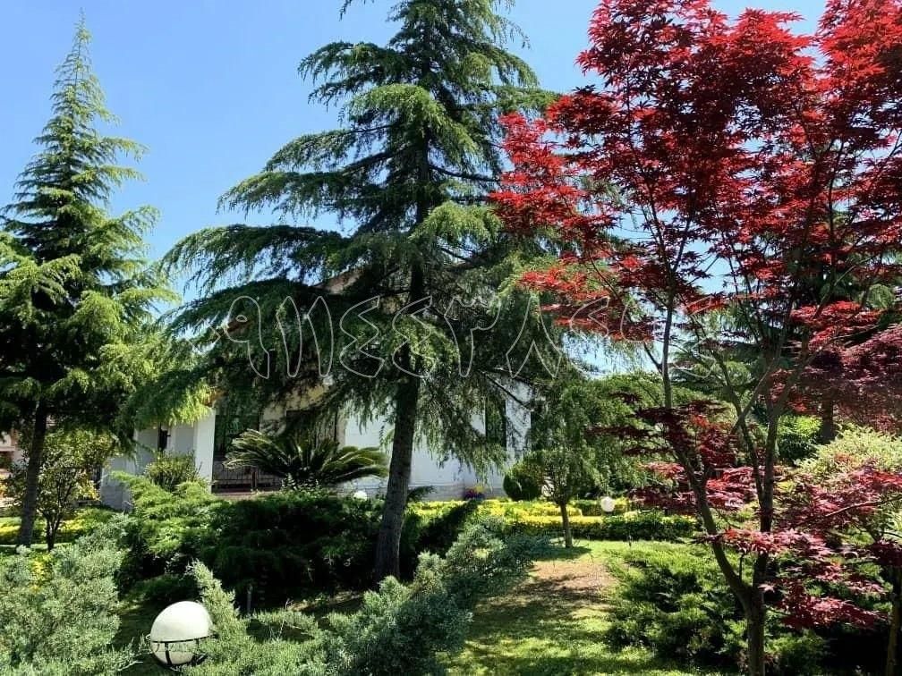 ویلاباغ 1400متری(با لنداسکیب قرینه پارک شهری)|فروش خانه و ویلا|نور, |دیوار