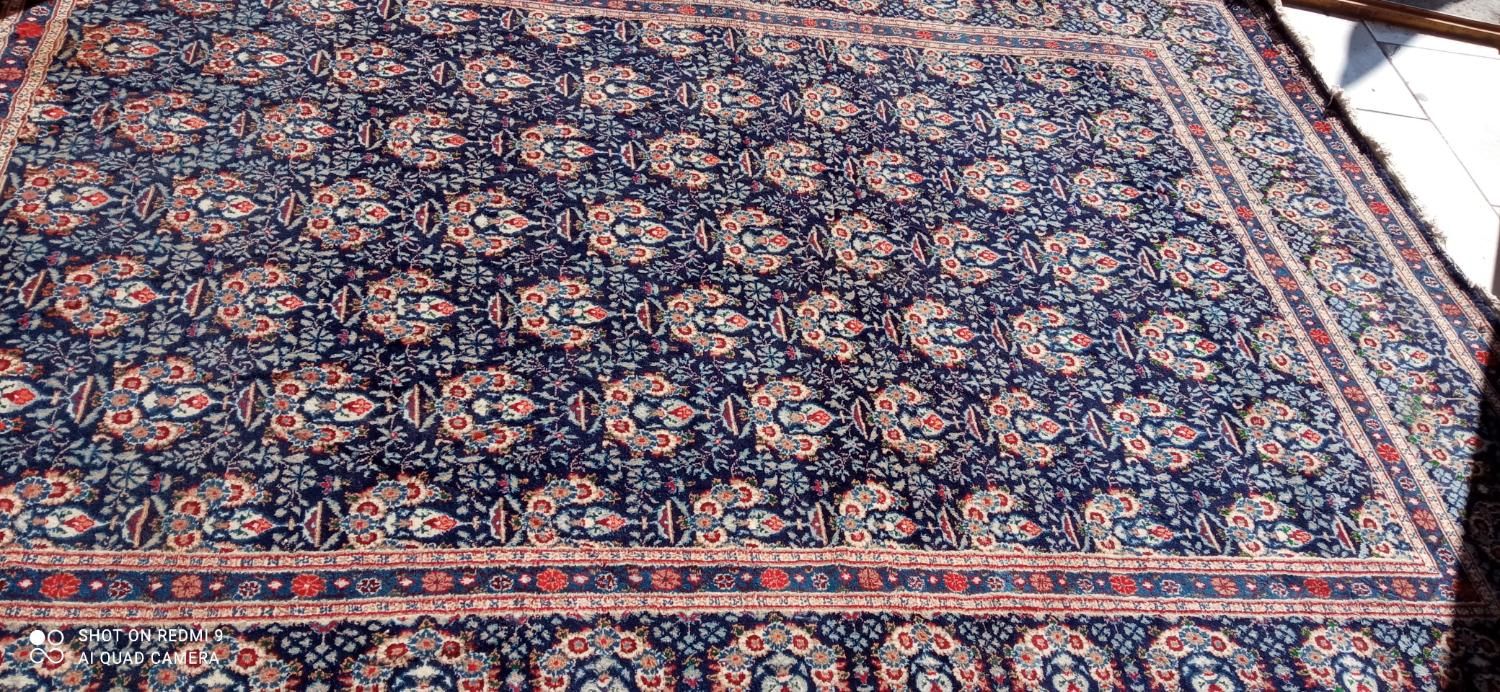 فرش دستباف ایرانی کارکرده|فرش|بیرجند, |دیوار