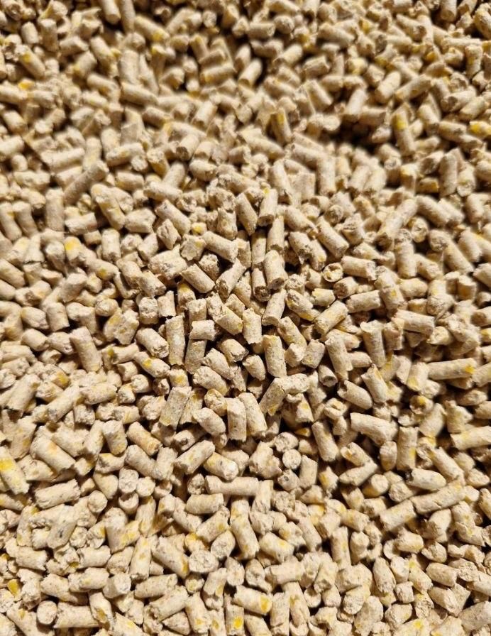 دان مرغ تخم گذار و گوشتی با کیفیت قیمت تعاونی|لوازم جانبی حیوانات|شیراز, لب آب|دیوار