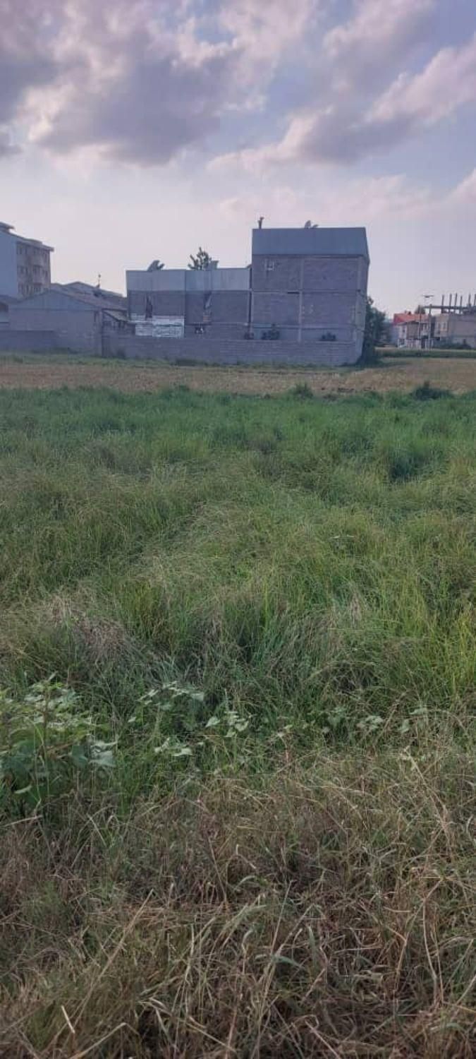 زمین مسکونی سند دار|فروش زمین و ملک کلنگی|رشت, پیرکلاچای|دیوار