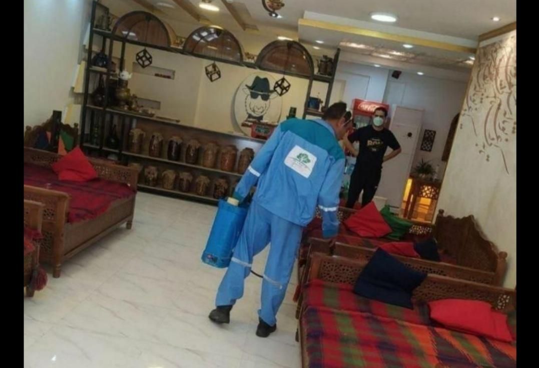 سمپاشی سوسک ساس موریانه سم پاشی|خدمات نظافت|بندر ماهشهر, |دیوار