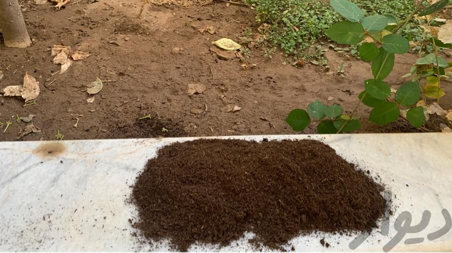 کود بهساز خاک به نشاط|خدمات باغبانی و درختکاری|یزد, |دیوار