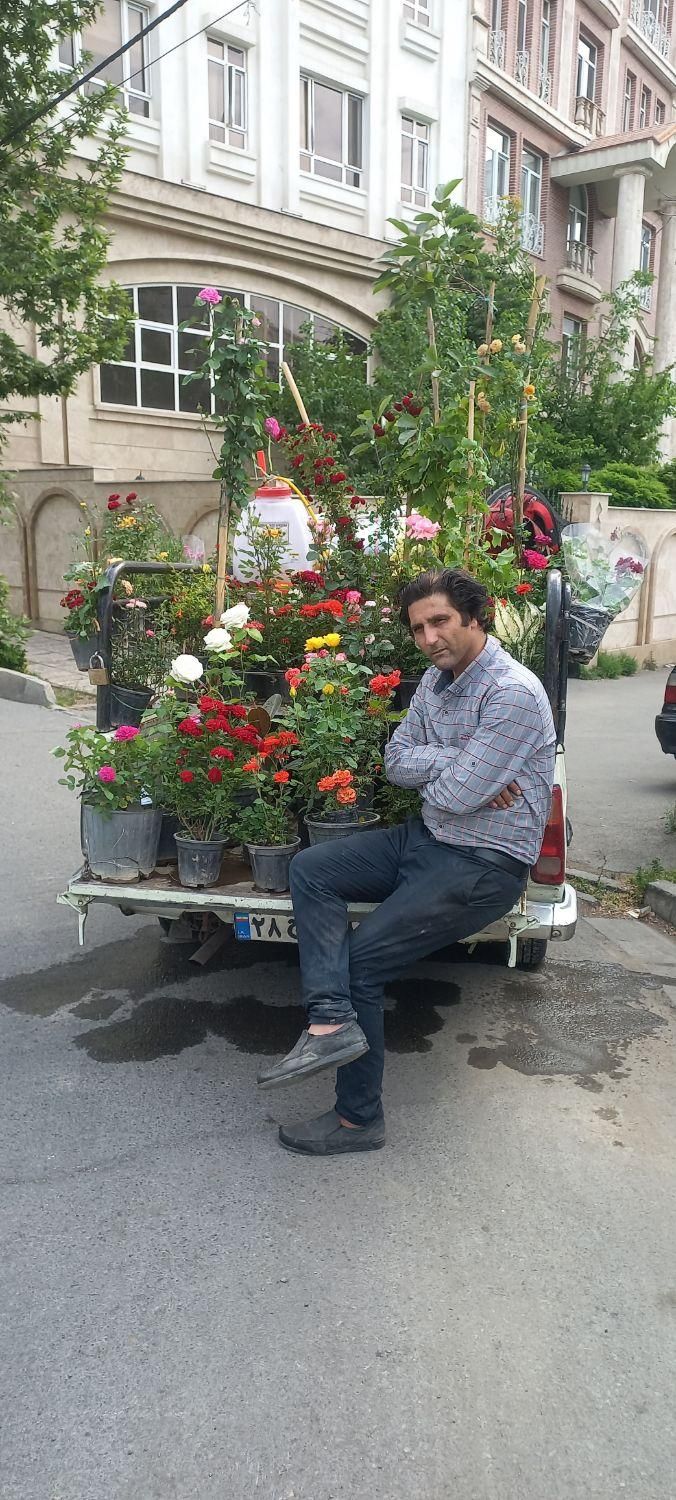 حرس درخت سم پاشی گل گیاه کودگلکاری آپارتمان|خدمات باغبانی و درختکاری|تهران, دروس|دیوار