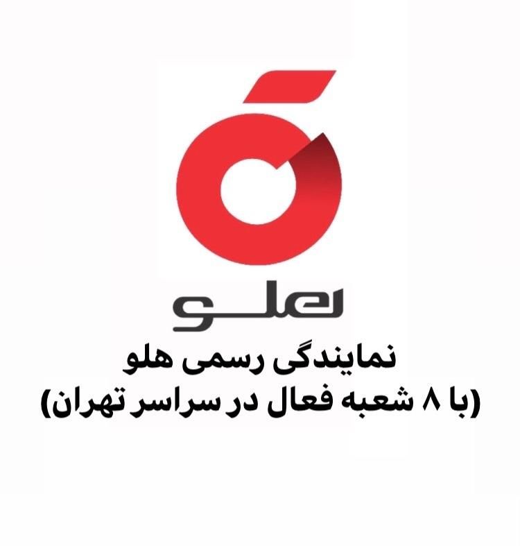 نرم افزار حسابداری هلو(فروشگاهی/شرکتی/تولیدی)|قطعات و لوازم جانبی رایانه|تهران, امین حضور|دیوار