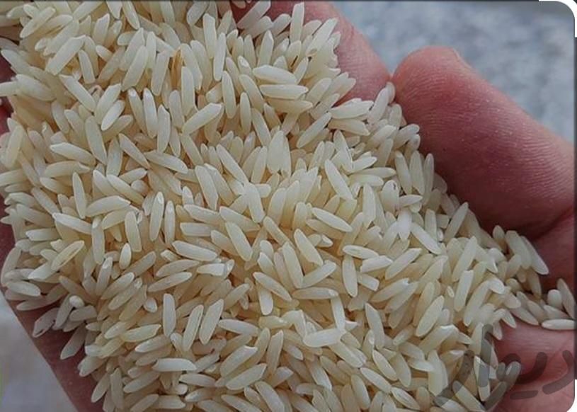 برنج هاشمی|خوردنی و آشامیدنی|کیلان, |دیوار