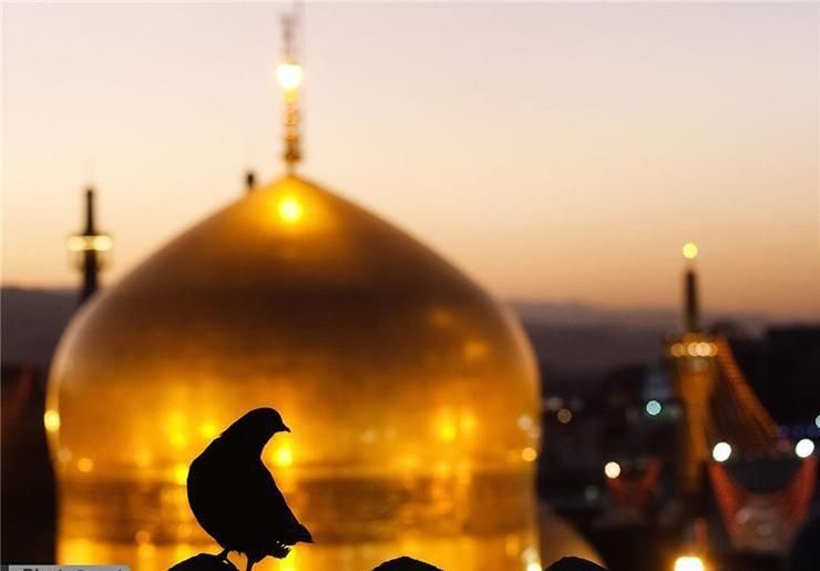 تور مشهد|تور و چارتر|شیراز, آبیاری|دیوار