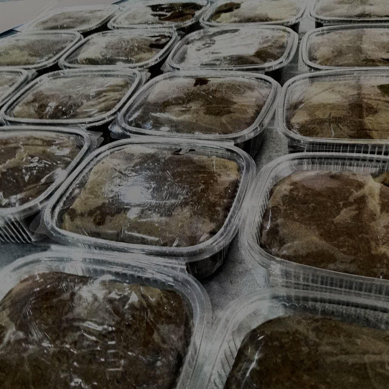 سبزی سرخ شده (قورمه سرخ شده)|خوردنی و آشامیدنی|ری, شهید غیوری (ابن باویه)|دیوار