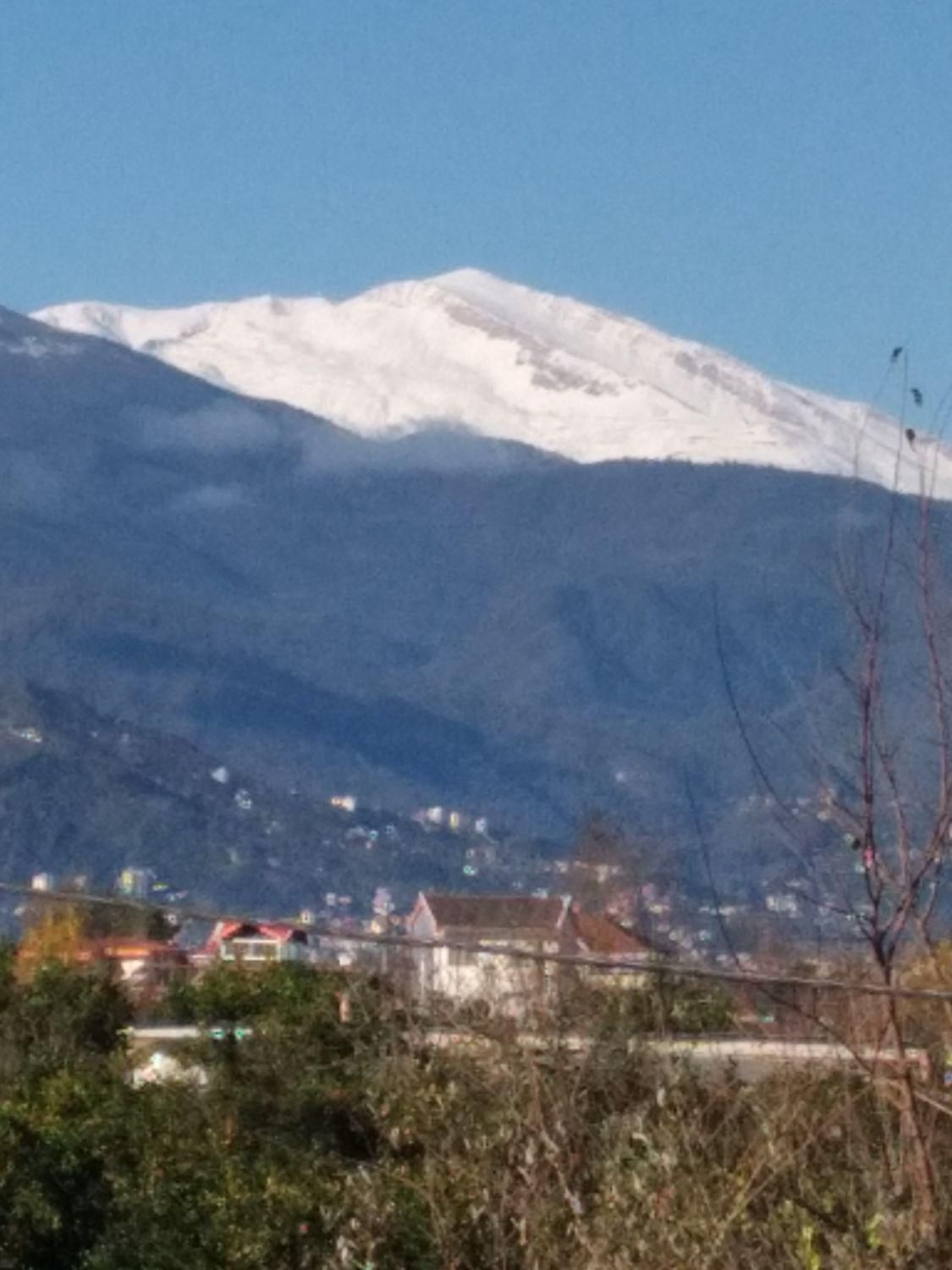 ویلا جنگلی ** طراوت **|اجارهٔ کوتاهمدت ویلا و باغ|تنکابن, |دیوار