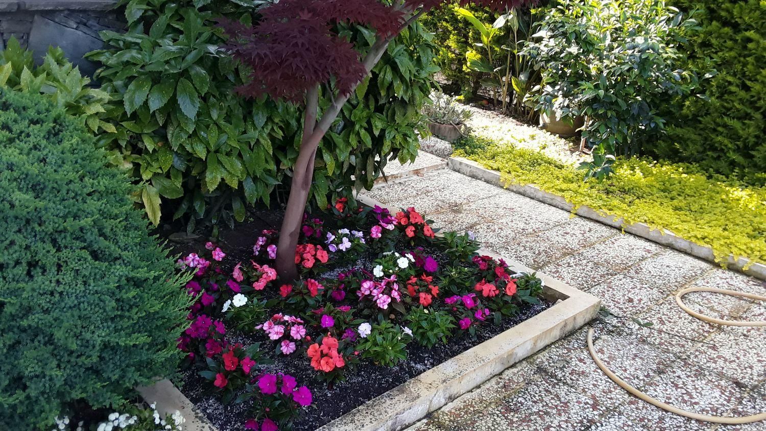 خدمات باغبانی|خدمات باغبانی و درختکاری|نوشهر, |دیوار