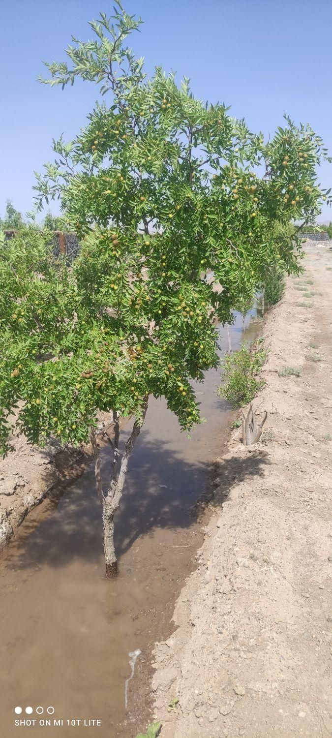 تصویر 6
