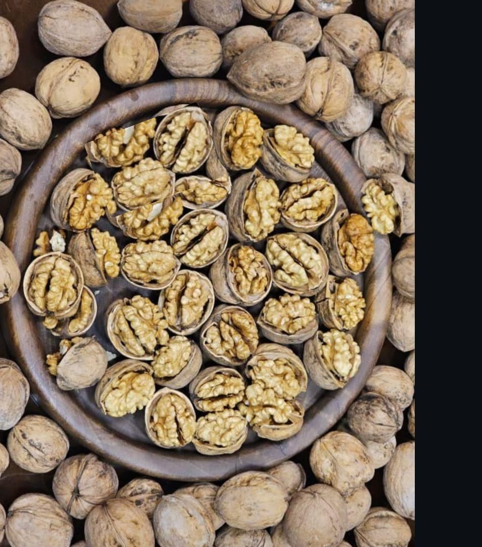 گردو و مغز گردو درصد بالا|عمده‌فروشی|اصفهان, ارغوانیه|دیوار