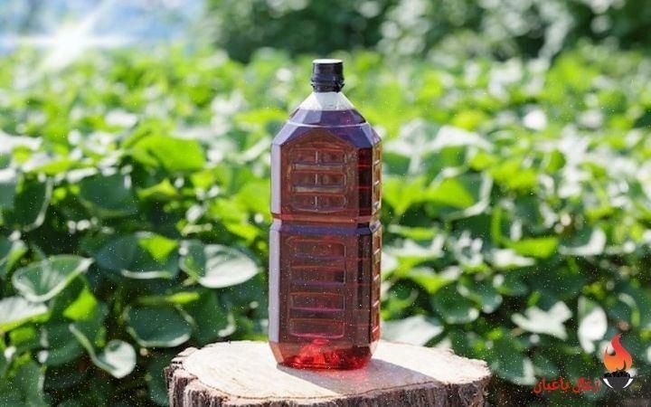 سرکه چوب|خدمات باغبانی و درختکاری|سیرجان, |دیوار