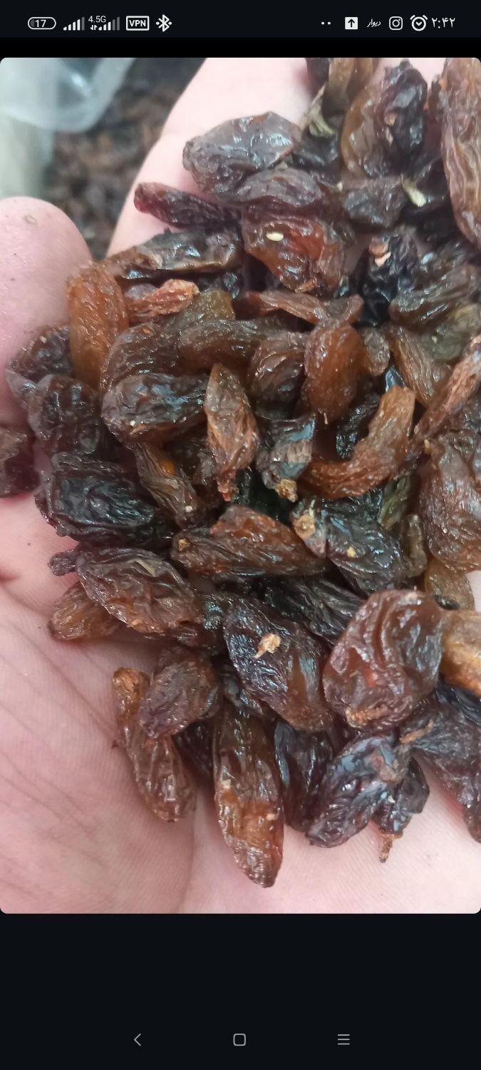 کشمش افتابی|عمدهفروشی|قرچک, زیبا شهر|دیوار