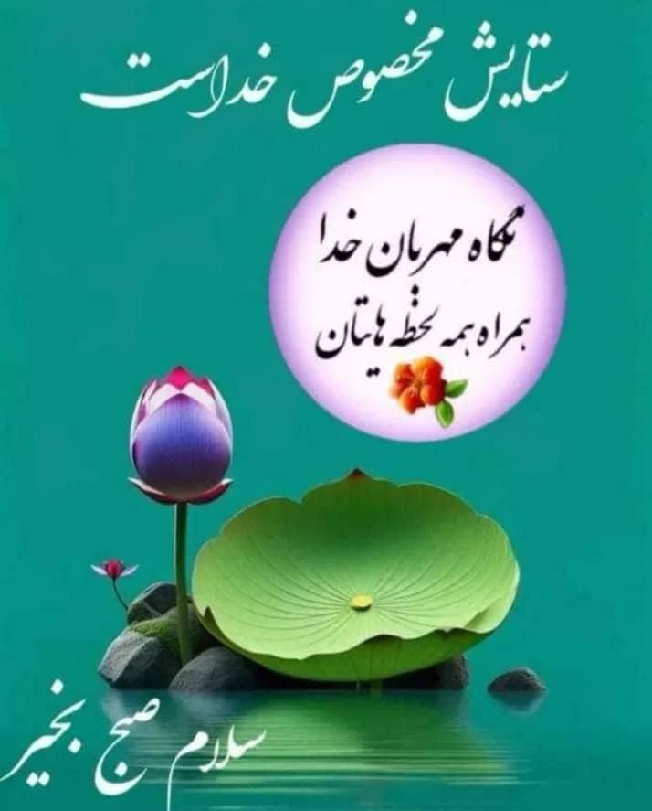 انجام امور منزل|خدمات پیشه و مهارت|شاهین‌شهر, فردوسی|دیوار