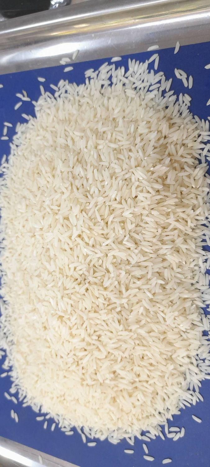 برنج طارم هاشمی فریدونکنار معطر درجه یک|خوردنی و آشامیدنی|اصفهان, رزمندگان|دیوار