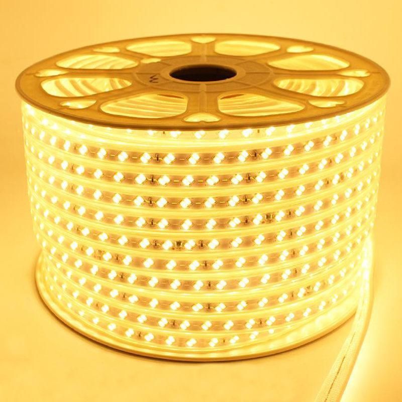 ریسه شلنگی smd دولاین تراکم بالا|ریسه و چراغ تزئینی|رشت, دباغیان|دیوار