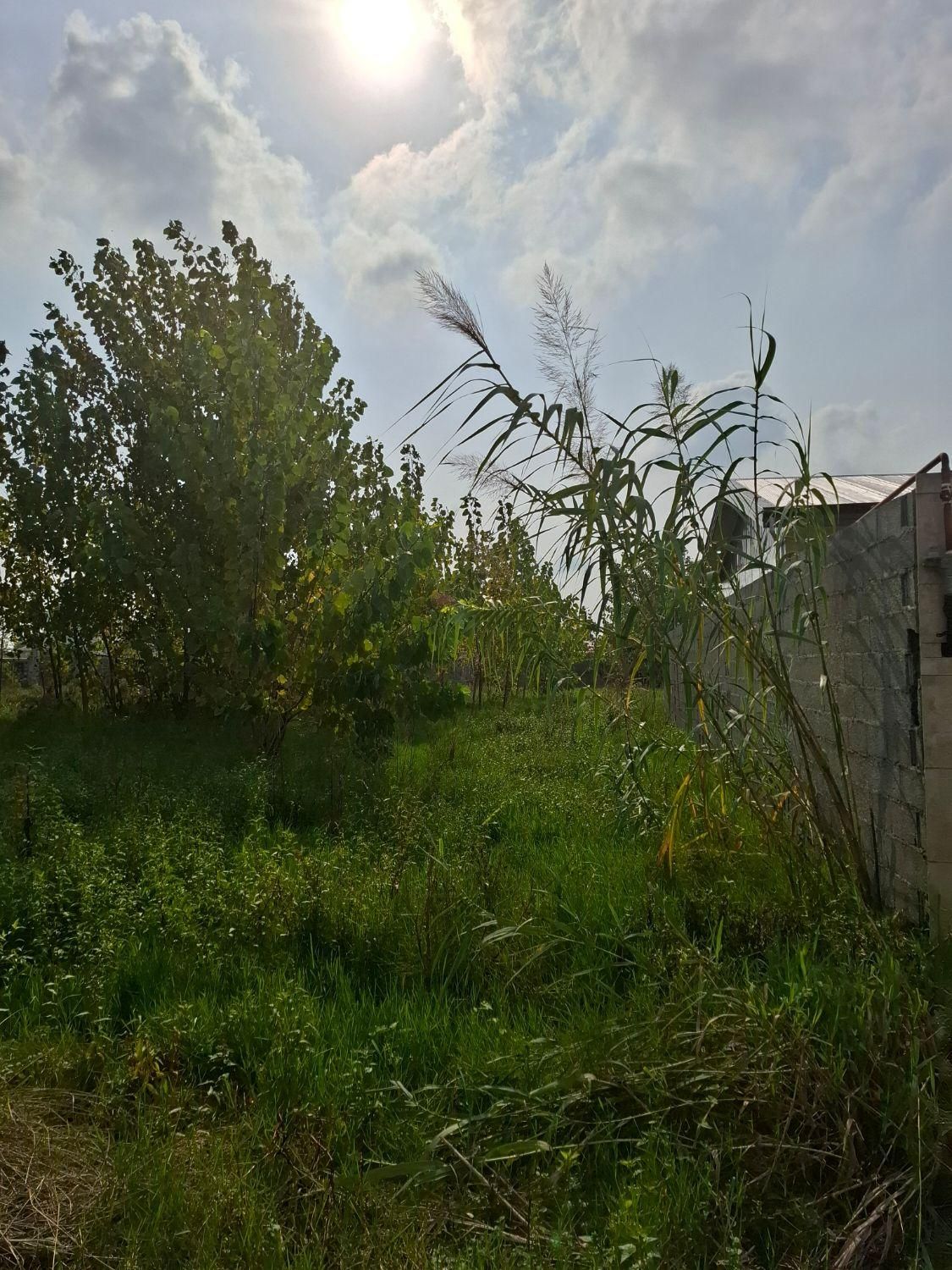 زمین مسکونی۲۴۰مترشهرخوش نقشه انشعاب پای کار/آناملک|فروش زمین و ملک کلنگی|خشکبیجار, |دیوار