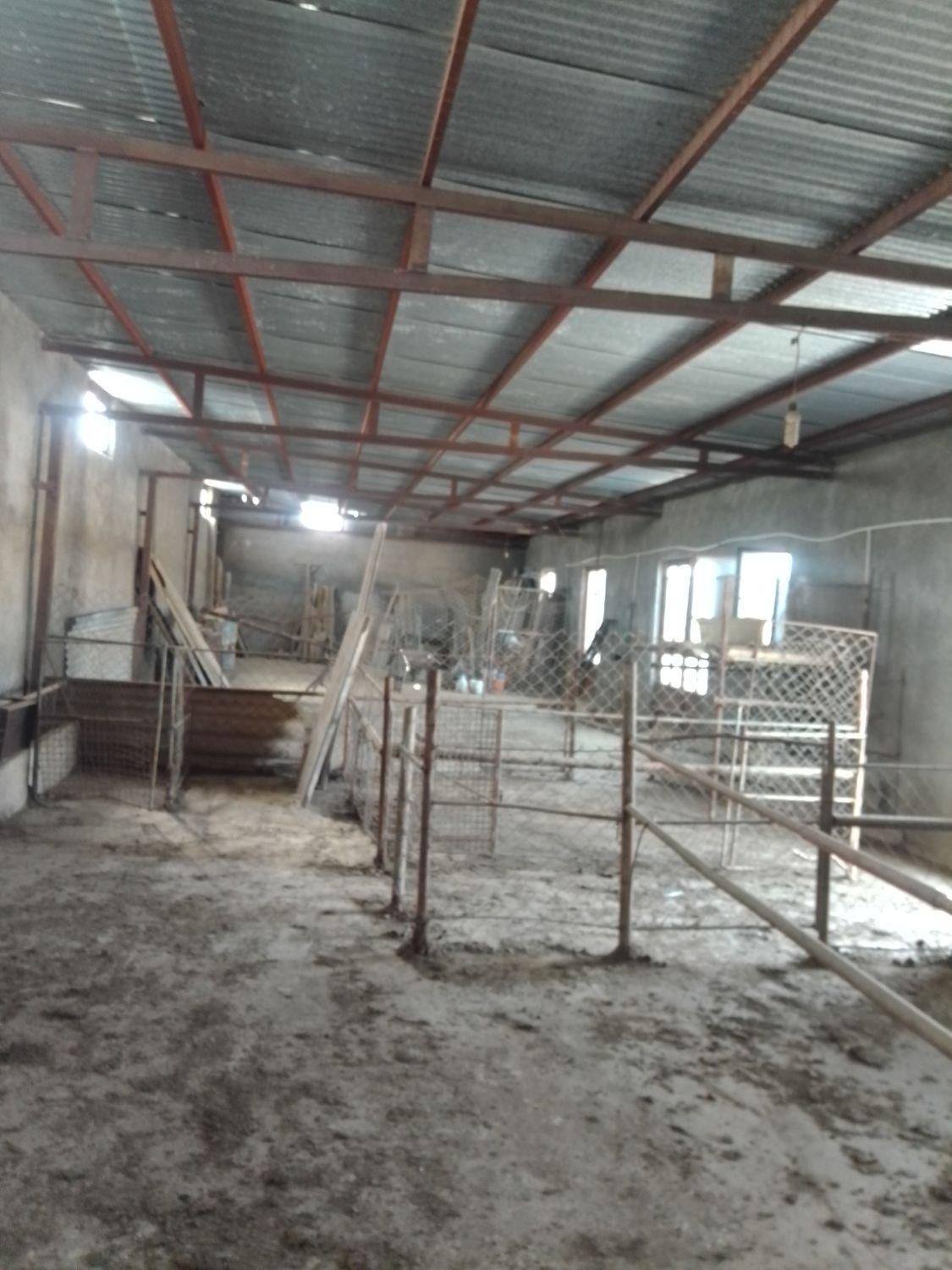 دامداری پروار گوسفند 100راسی در لجران|فروش دفتر صنعتی، کشاورزی، تجاری|گرمسار, |دیوار