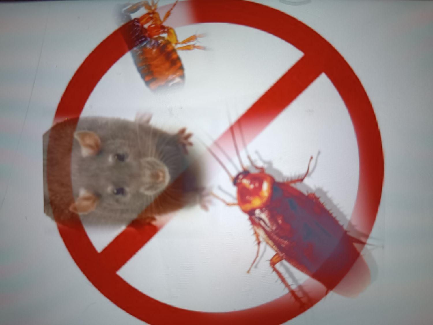 سمپاشی و طعمه گذاری تضمینی ،سوسک و موش،سم پاشی|خدمات نظافت|ارومیه, |دیوار