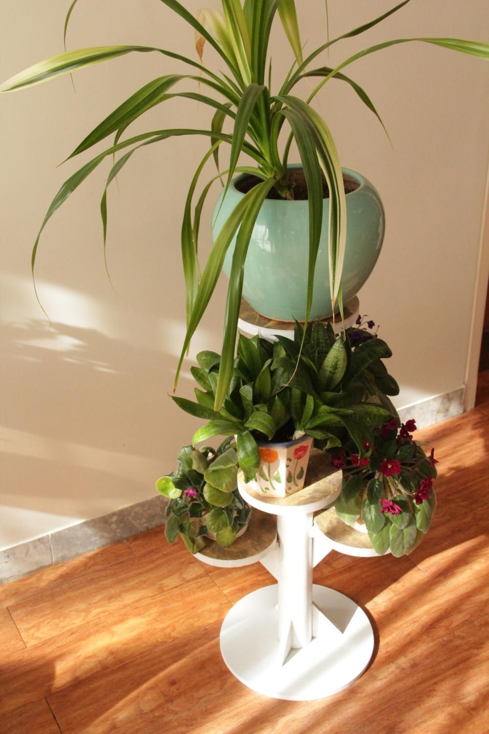 جای گلدان ۵ تایی فومیزه|گل و گیاه طبیعی|اصفهان, باغ فدک|دیوار