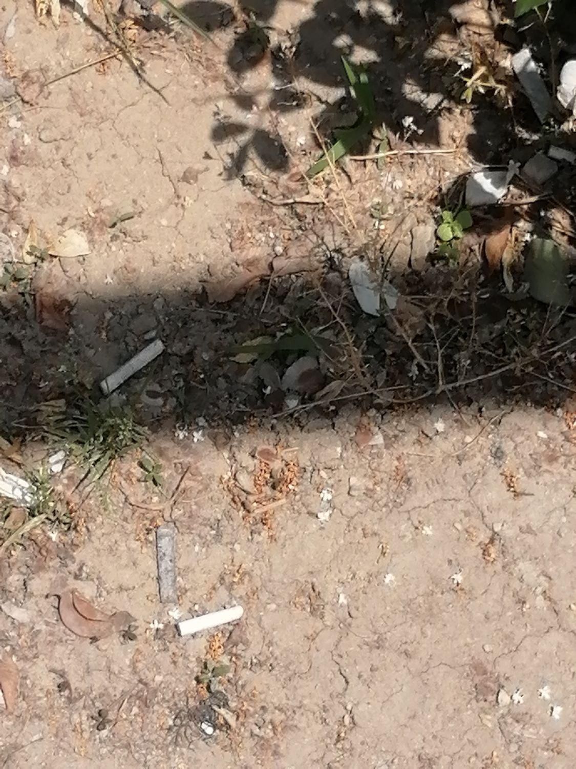 175 متر زمین شهری مسکونی سرمایهگذاری|فروش زمین و ملک کلنگی|صومعهسرا, |دیوار