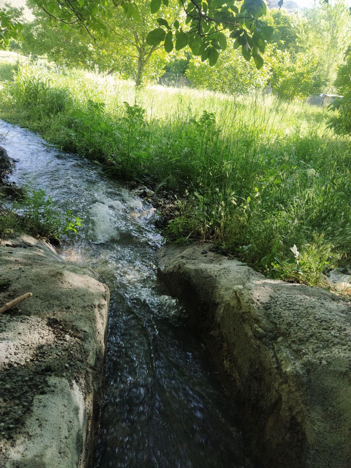 باغ پلاک دوم رودخانه روستای چمنار|فروش دفتر صنعتی، کشاورزی، تجاری|سامان, |دیوار