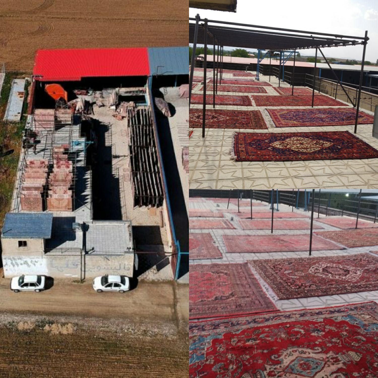 قالیشویی (قالی شویی) گلها|خدمات نظافت|همدان, |دیوار