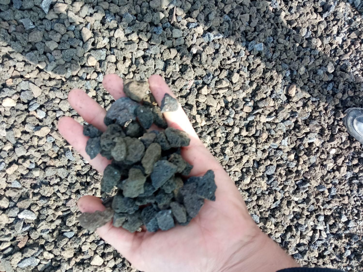 پوکه قروه تعاونی 151درشیراز|عمدهفروشی|صدرا-فارس, |دیوار