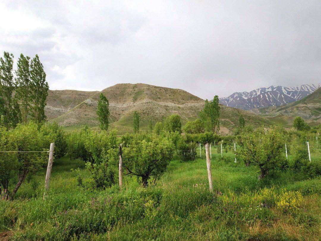 فرصتی استثنایی برای آرامش در قلب طبیعت|فروش زمین و ملک کلنگی|ارجمند, |دیوار