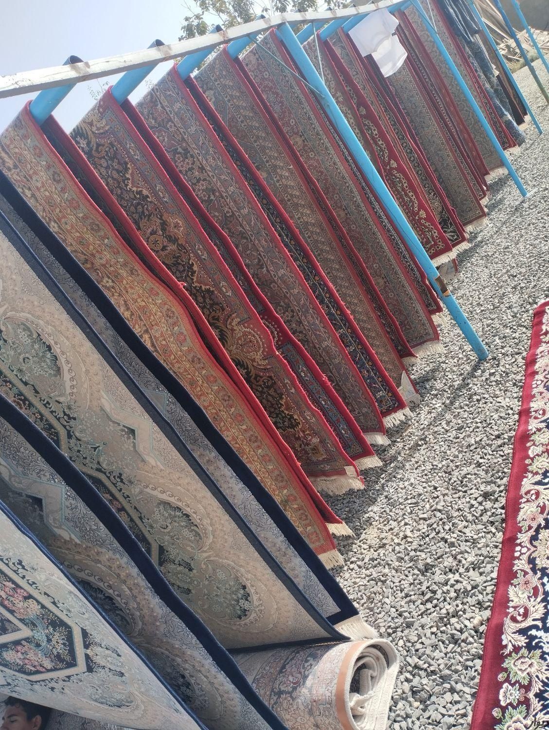 قالیشویی وحدت|خدمات نظافت|زاهدان, |دیوار