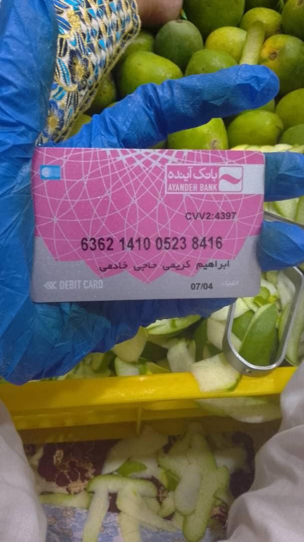 کیف مدارک گمشده|حیوانات|میناب, |دیوار