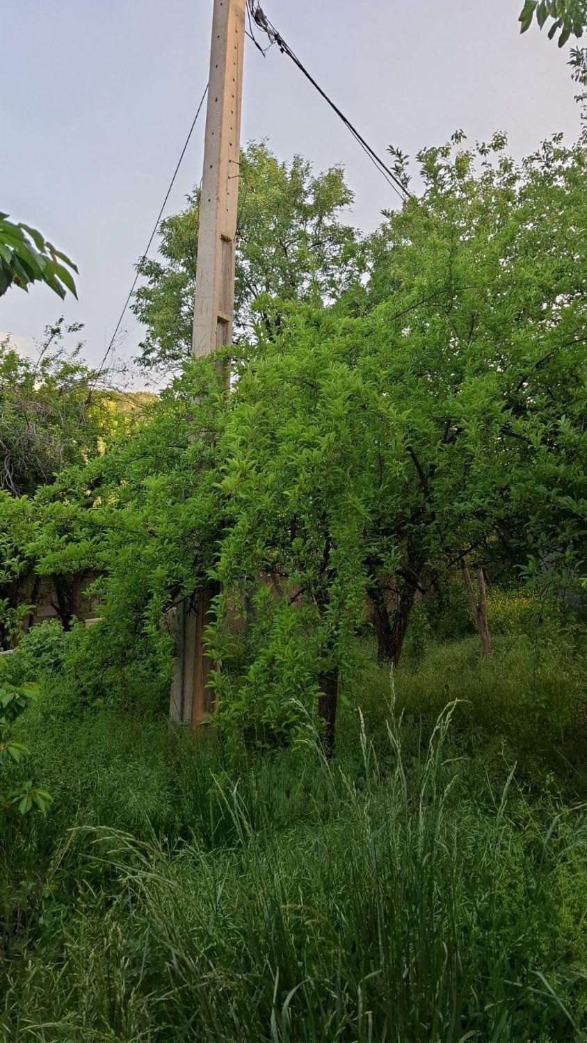 خونه ویلایی واقع در روستای توریستی کریک ،سیسخت|اجارهٔ کوتاه‌مدت ویلا و باغ|سی‌سخت, |دیوار