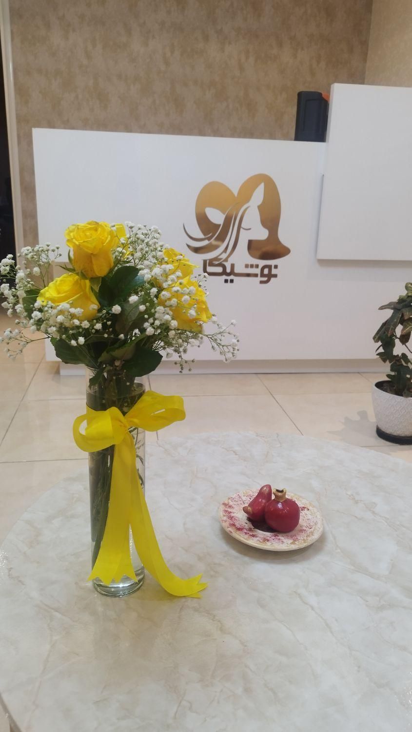 سوراخ کردن گوش پیرسینگ ناف بدون درد|خدمات آرایشگری و زیبایی|ساری, |دیوار