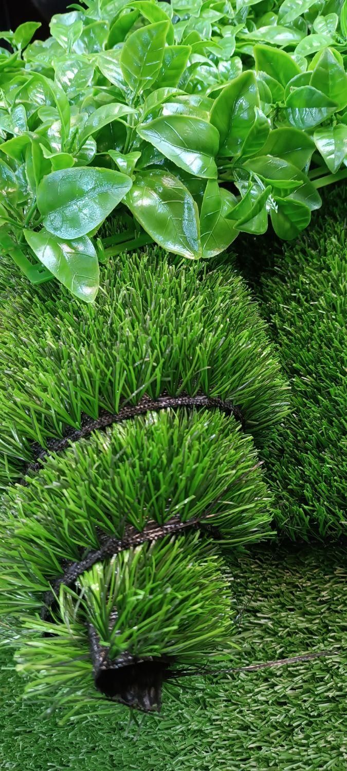 چمن مصنوعی. دیوار سبز .آسیا چمن گرین وال|خدمات باغبانی و درختکاری|اصفهان, بابوکان|دیوار