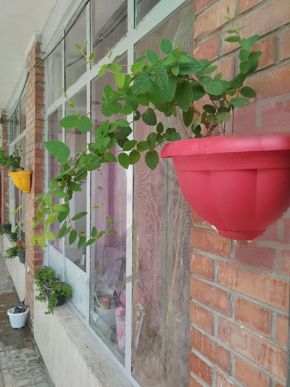 خوابگاه دخترانه سینما سعدی|اجارهٔ کوتاه‌مدت آپارتمان و سوئیت|شیراز, سینما سعدی|دیوار