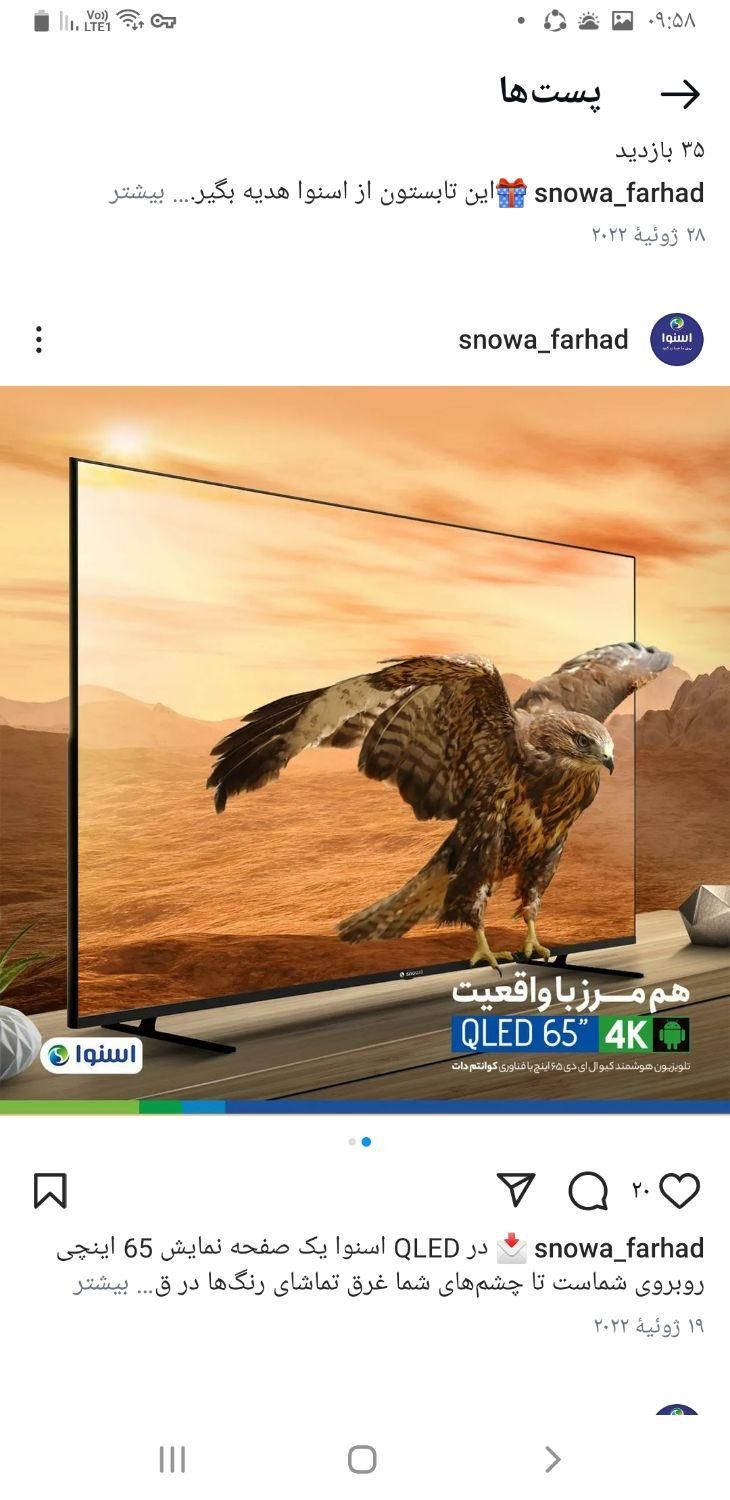 تلویزیون اسنوا(چکی)|تلویزیون و پروژکتور|فلاورجان, |دیوار